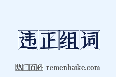 违正组词是什么意思的图片